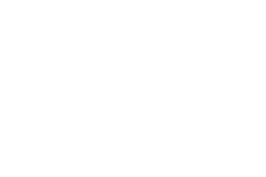 Pitlak